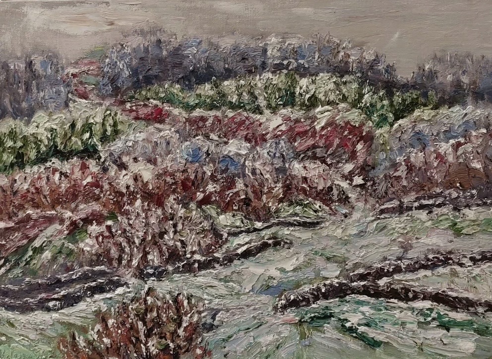 La Vallée Noire sneeuw Saint-Sévère-sur-Indre