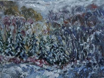 Sainte-Sévère-sur-Indre na sneeuwbui
